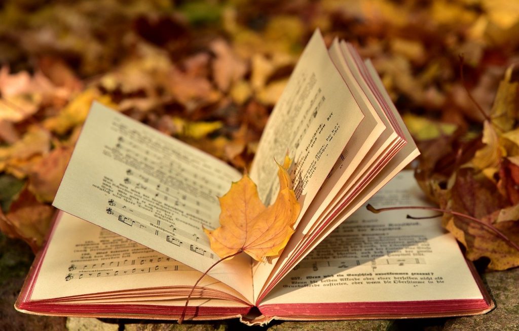 book, autumn, leaf